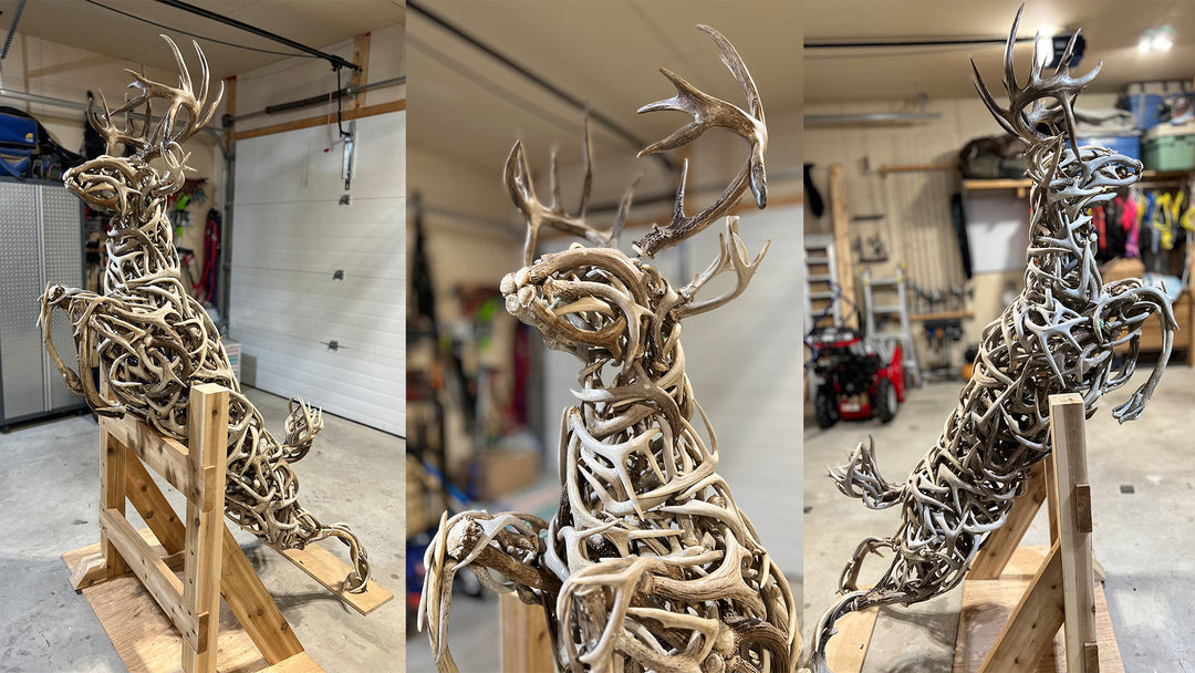 Transforming Whitetail Antlers into Stunning Cabin Decor