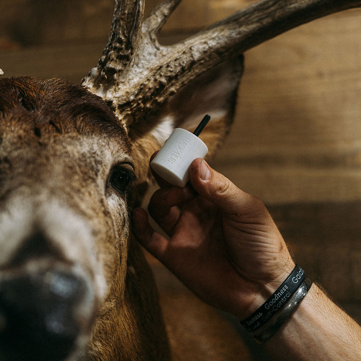 Taxidermy 2 Pack