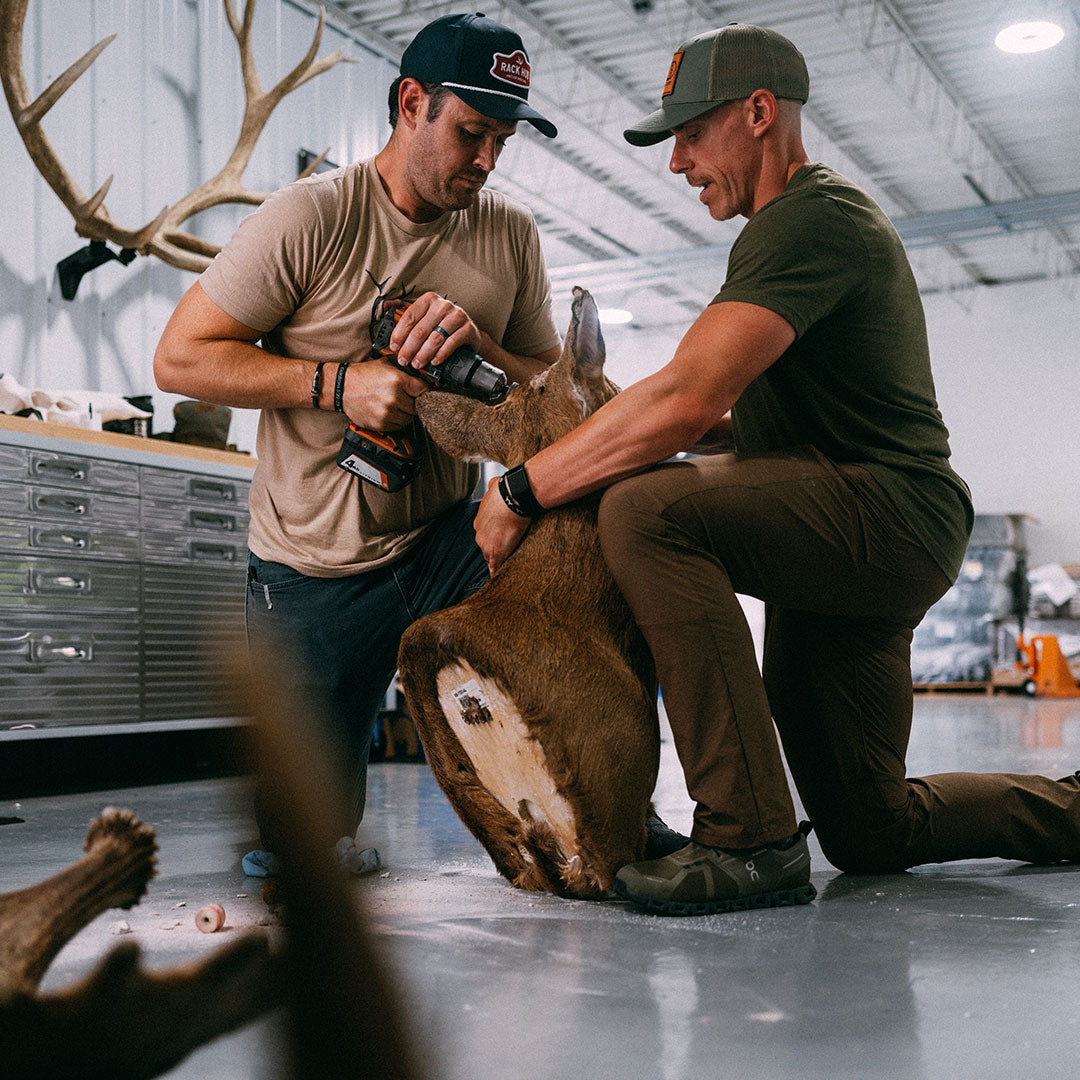 Taxidermy 2 Pack