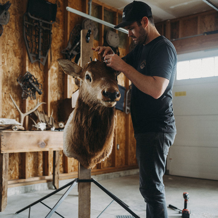 Taxidermy 2 Pack XL