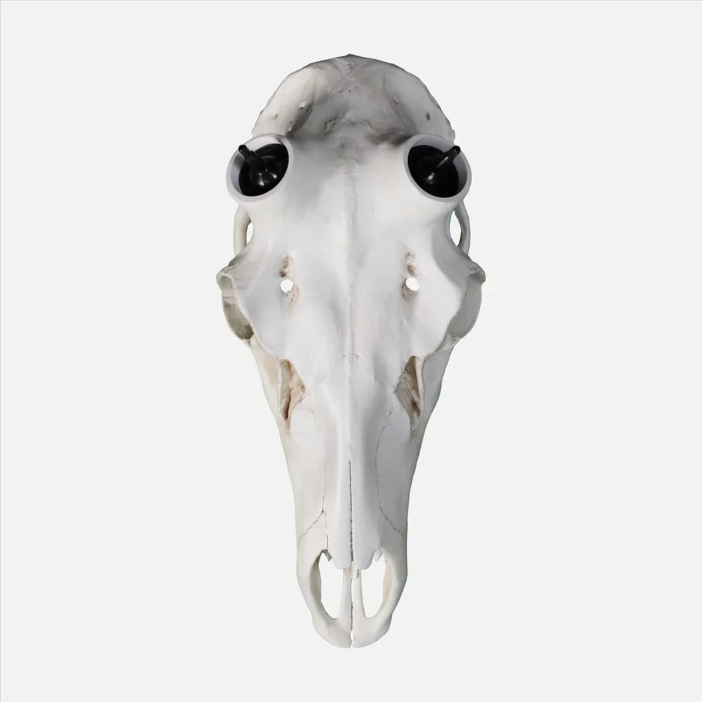 Elk Skull- (Hand Painted, Hyper-realistic)