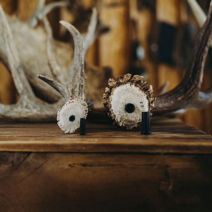 Taxidermy 2 Pack